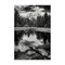 Stupell Industries Black & White Forest Reflection Canvas Wall Art Design by Rick Berk